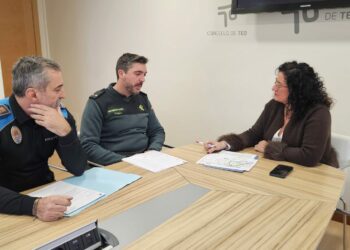 Teo aposta por cámaras de vixilancia e máis presenza policial para frear os roubos