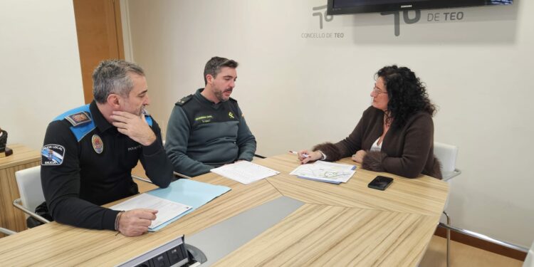 Teo aposta por cámaras de vixilancia e máis presenza policial para frear os roubos