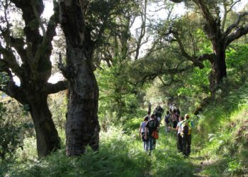 O Parlamento galego admite a trámite a primeira proposición de lei a nivel mundial para protexer ecosistemas en restauración