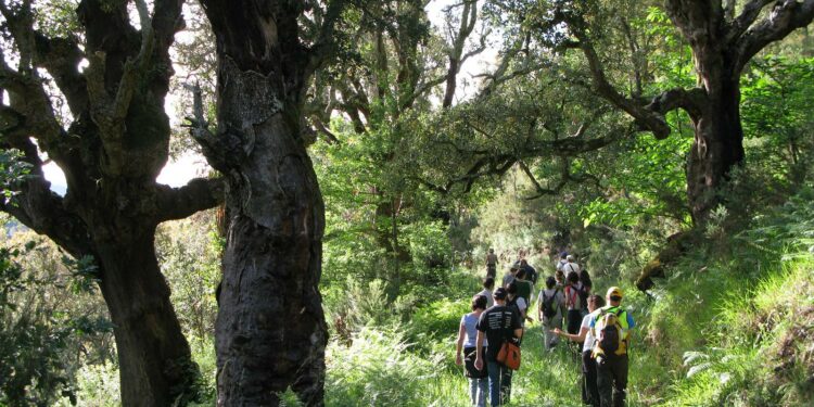 O Parlamento galego admite a trámite a primeira proposición de lei a nivel mundial para protexer ecosistemas en restauración