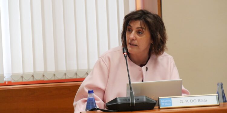 O BNG esíxelle á Xunta unha devolución “xusta e transparente” ás comunidades de montes veciñais