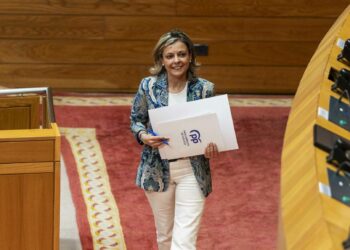 O PPdeG dí que o goberno central «négalle aos autónomos o que Europa si lles recoñece”