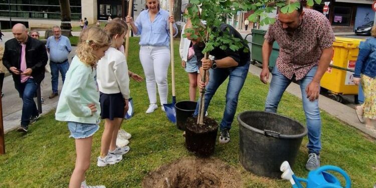 O intercambio entre Carballo e L’Isle Jourdain estreitará lazos en abril cunha longa fin de semana de música, lingua e tradición