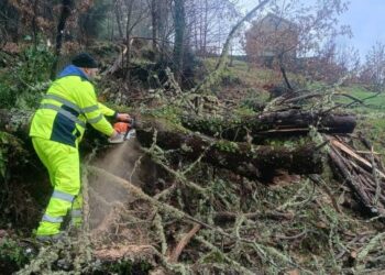 La Diputación de Ourense agiliza el mantenimiento de sus carreteras