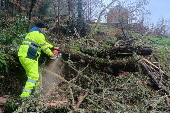 La Diputación de Ourense agiliza el mantenimiento de sus carreteras