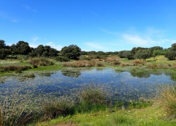 El 22% de las lagunas temporales de la España peninsular han desaparecido en el siglo XXI