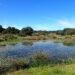 El 22% de las lagunas temporales de la España peninsular han desaparecido en el siglo XXI