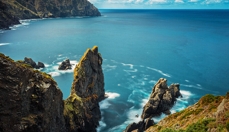 A Deputación de A Coruña impulsa con 330.000 euros o traballo de 22 asociacións medioambientais da provincia