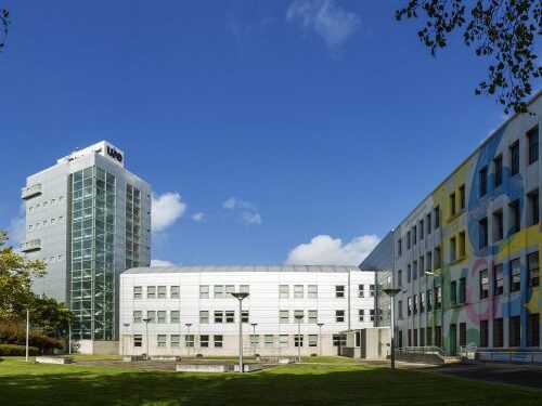 Las sedes de la UIE de Coruña, Santiago y Vigo sufren actos vandálicos