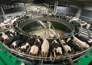 El sector lácteo registra un incremento de la producción del 1,6 % en 2026