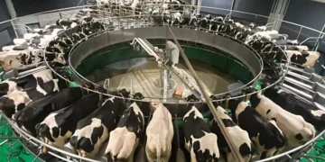 El sector lácteo registra un incremento de la producción del 1,6 % en 2026