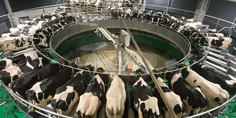 El sector lácteo registra un incremento de la producción del 1,6 % en 2026