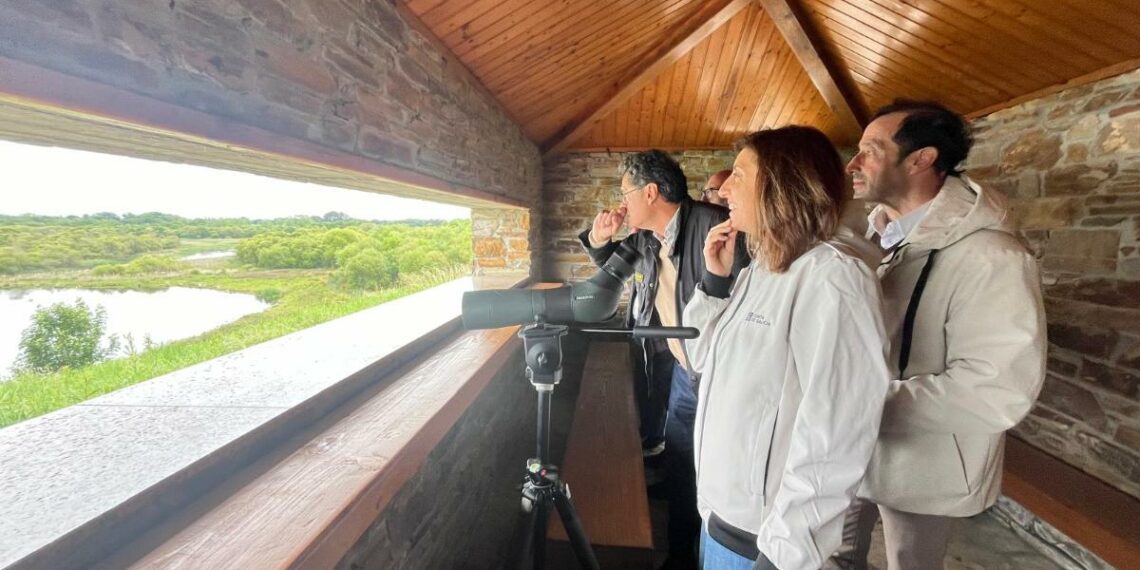 Galicia contabiliza este año un 30% más de aves acuáticas y marinas que en el censo de 2025
