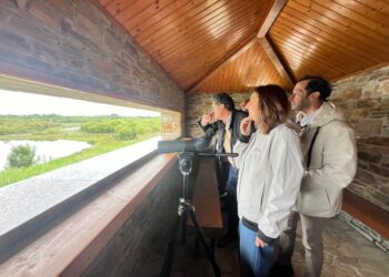 Galicia contabiliza este año un 30% más de aves acuáticas y marinas que en el censo de 2025