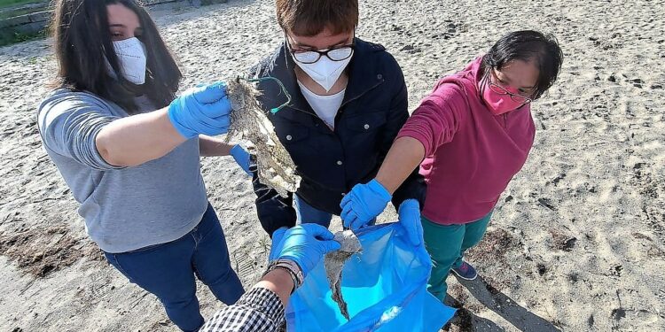 Diverisplás leva a cabo unha limpeza nas praias da Costa da Morte