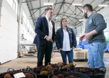 A Deputación da Coruña concede máis de 538.000 euros en axudas a 36 confrarías e agrupacións de mariscadoras
