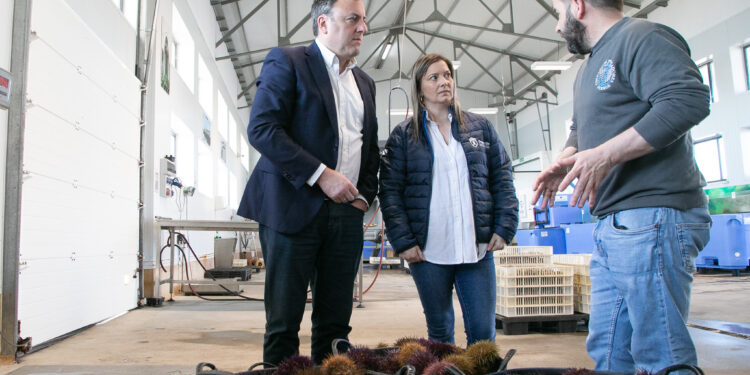 A Deputación da Coruña concede máis de 538.000 euros en axudas a 36 confrarías e agrupacións de mariscadoras