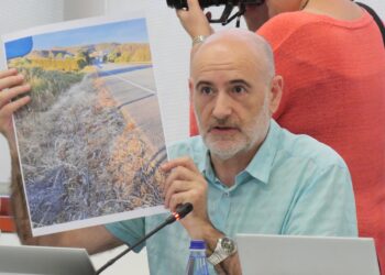 O BNG empraza á Xunta a actuar contra o uso de herbicidas contaminantes na marxe das vías