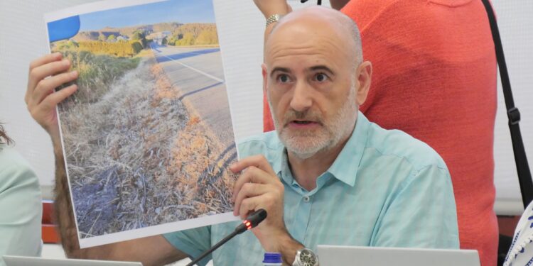 O BNG empraza á Xunta a actuar contra o uso de herbicidas contaminantes na marxe das vías