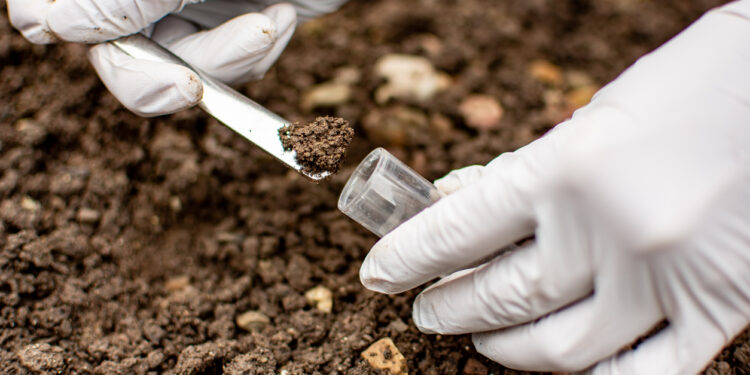 La biodiversidad del suelo actúa como un ‘escudo natural’ que protege a cultivos y humanos de patógenos