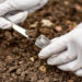 La biodiversidad del suelo actúa como un ‘escudo natural’ que protege a cultivos y humanos de patógenos