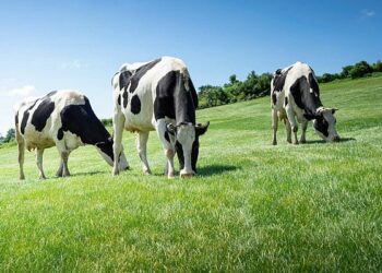 El Gobierno publica la orden de módulos con importantes reducciones en el IRPF 2025 para 50.000 agricultores y ganaderos gallegos