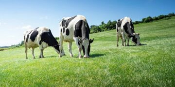 El Gobierno publica la orden de módulos con importantes reducciones en el IRPF 2025 para 50.000 agricultores y ganaderos gallegos