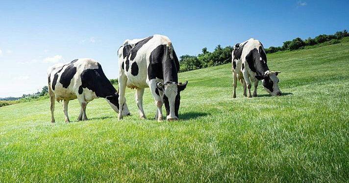 El Gobierno publica la orden de módulos con importantes reducciones en el IRPF 2025 para 50.000 agricultores y ganaderos gallegos