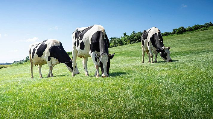 El Gobierno publica la orden de módulos con importantes reducciones en el IRPF 2025 para 50.000 agricultores y ganaderos gallegos