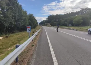 Falece unha persoa trala colisión entre dous coches no Carballiño