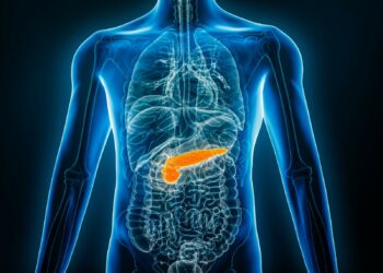 Una molécula protege el páncreas de la toxicidad asociada a la diabetes tipo 2