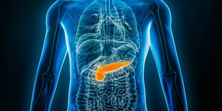 Una molécula protege el páncreas de la toxicidad asociada a la diabetes tipo 2
