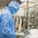 La gallega Biofabri avanza una solución contra el cáncer de vejiga