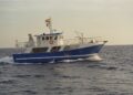 Estos son los nuevos requisitos para la obtención de títulos marineros