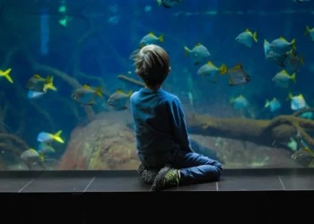 Santiago de Compostela acolle o I Congreso Autonómico Os Dereitos da Infancia en Galicia