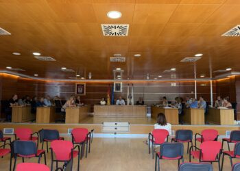 Luz verde del pleno de Culleredo a la cuenta general