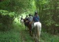 Rutas a caballo en Lugo: descubre la Galicia más auténtica desde Casa Cazoleiro, la experiencia que enamora a grandes y pequeños