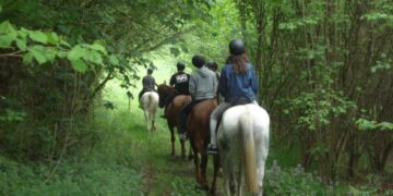 Rutas a caballo en Lugo: descubre la Galicia más auténtica desde Casa Cazoleiro, la experiencia que enamora a grandes y pequeños