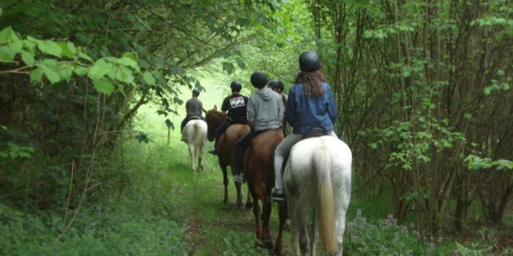 Rutas a caballo en Lugo: descubre la Galicia más auténtica desde Casa Cazoleiro, la experiencia que enamora a grandes y pequeños