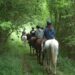 Rutas a caballo en Lugo: descubre la Galicia más auténtica desde Casa Cazoleiro, la experiencia que enamora a grandes y pequeños