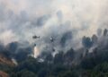 Incendios forestales en España: última hora de los fuegos activos, más de 77.000 hectáreas arrasadas y miles de evacuados