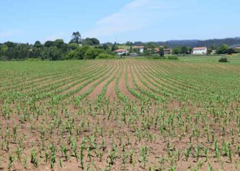 Más de 563.000 agricultores y ganaderos presentan la solicitud única de la PAC para la campaña 2026