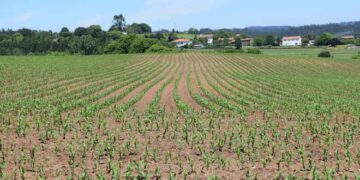 Más de 563.000 agricultores y ganaderos presentan la solicitud única de la PAC para la campaña 2026