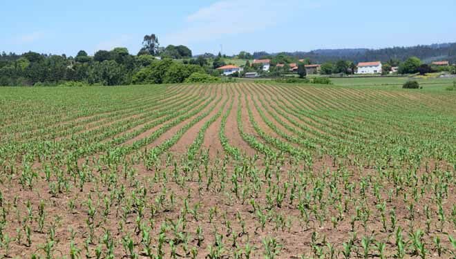 Más de 563.000 agricultores y ganaderos presentan la solicitud única de la PAC para la campaña 2026
