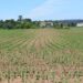 Más de 563.000 agricultores y ganaderos presentan la solicitud única de la PAC para la campaña 2026