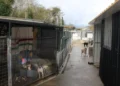Asinado o convenio a tres bandas para reforma e ampliación da Protectora de Animais de Lugo