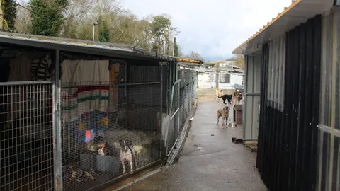 Asinado o convenio a tres bandas para reforma e ampliación da Protectora de Animais de Lugo