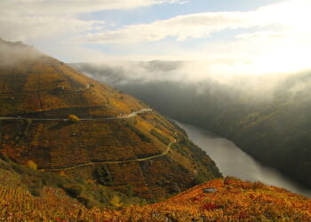La CHMS construirá 4 pantalanes públicos para ordenar el atraque en la Ribeira Sacra