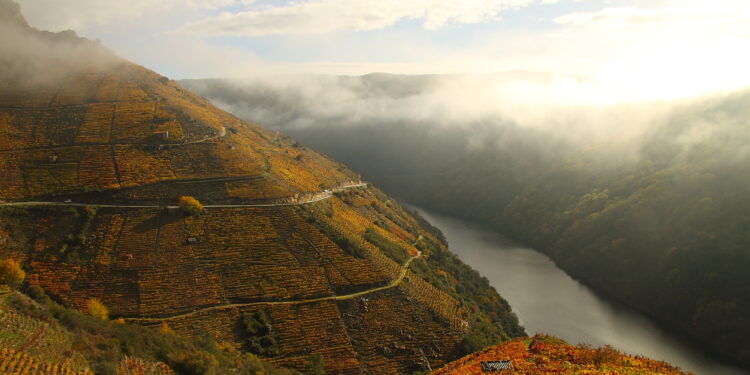 La CHMS construirá 4 pantalanes públicos para ordenar el atraque en la Ribeira Sacra