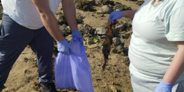 Diversiplás leva a súa campaña de sensibilización ambiental a tres praias da Costa da Morte e abre as portas do seu obradoiro